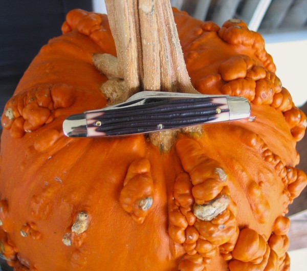Queen Stockman Pumpkin.JPG