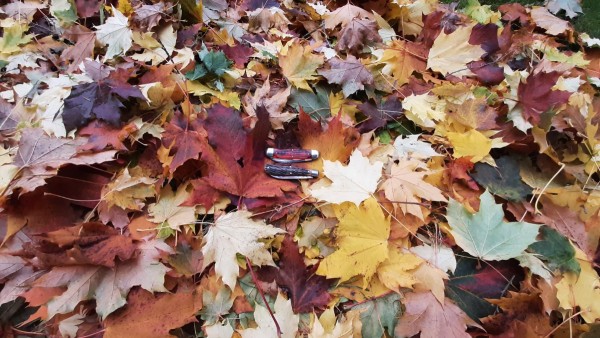 20231110_111951.jpg