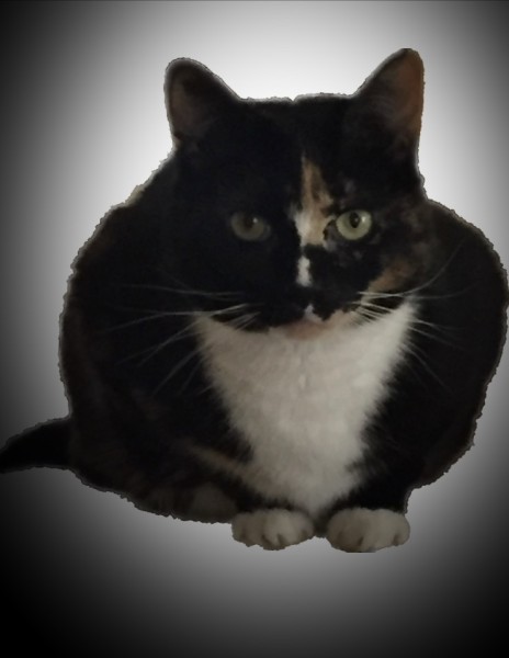 A9167945-5467-4191-A614-A25CB9453702.jpeg