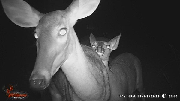 I want to be in the picture too!