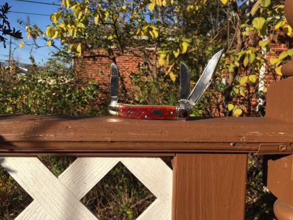 Western 742D with Mahogany Jigged Bone