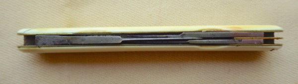 RIMG2670.JPG