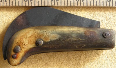 A Hawk Bill Pruner 002.jpg