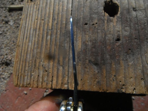 DSCF4598.JPG