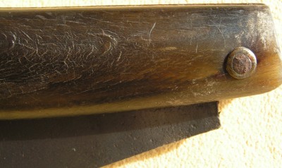 A Hawk Bill Pruner 009.jpg