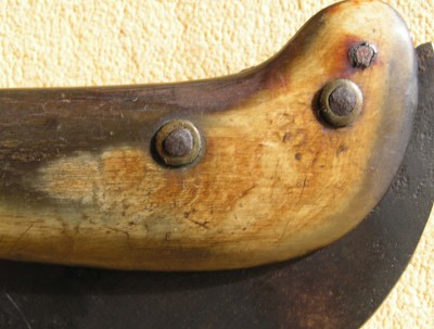 A Hawk Bill Pruner 010.jpg