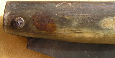 A Hawk Bill Pruner 011.jpg