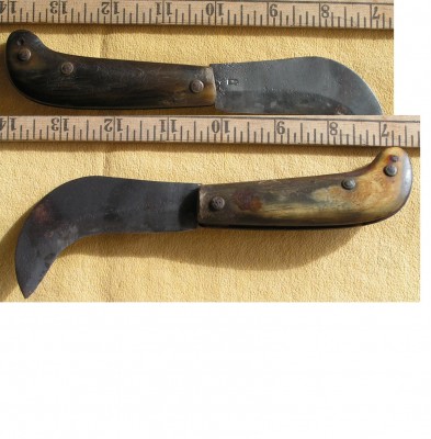 A Hawk Bill Pruner 012a.JPG