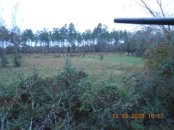 013.JPG (326.2 KiB) Viewed 2389 times Looking over the oat patch, behind it are the last of our planted pines next to a canal that crosses our farm.