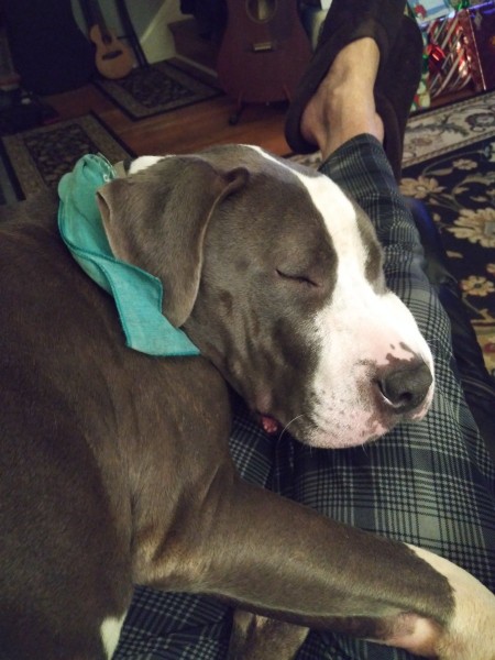 20201221_201330.jpg
