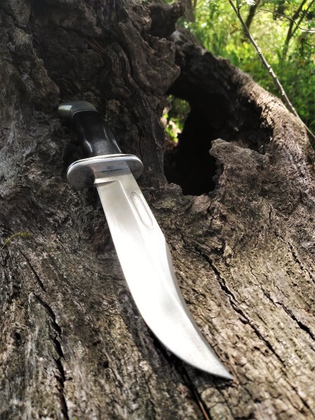 Buck 119 on the trail.jpg