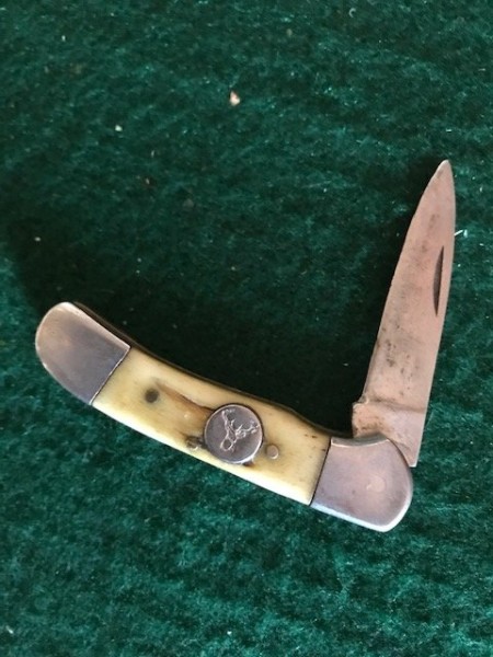 Elk a.jpg