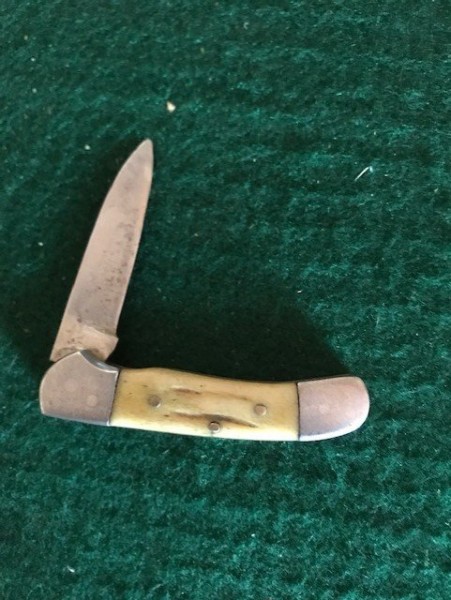 Elk b.jpg