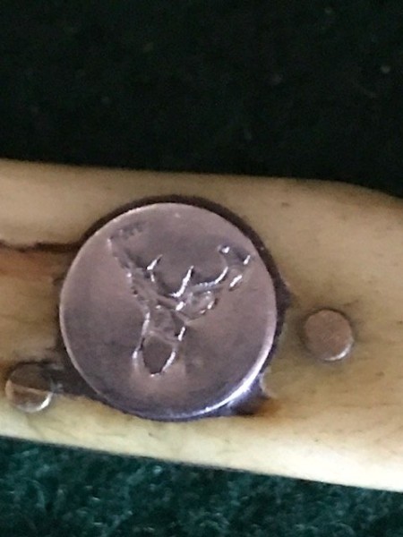 Elk c.jpg