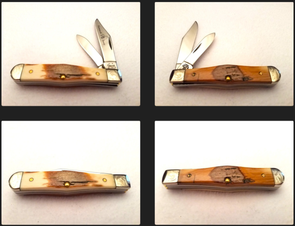 Case Mammoth Ivory.png