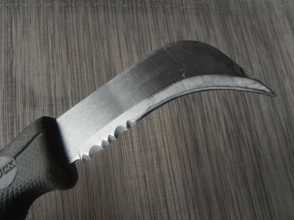 DSCF5965.JPG