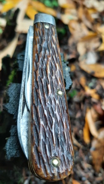20231214_111634.jpg