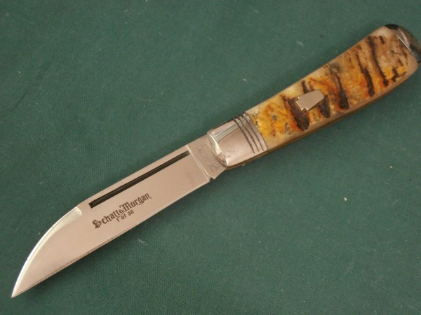 S&M RamHorn #01.JPG