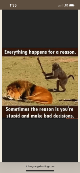0F026E1A-07C4-494F-8978-B001670E0684.png