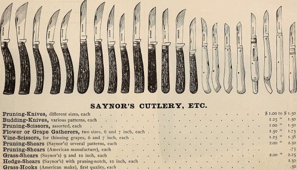 Saynor Catalog cut.jpg
