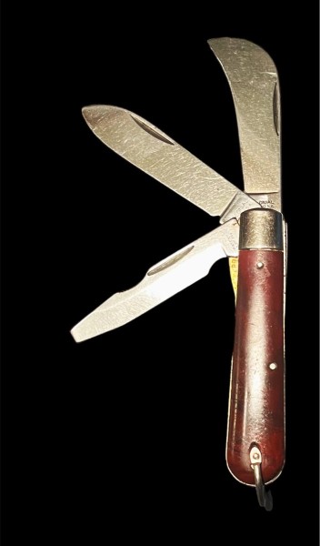 MCTE4246.JPG