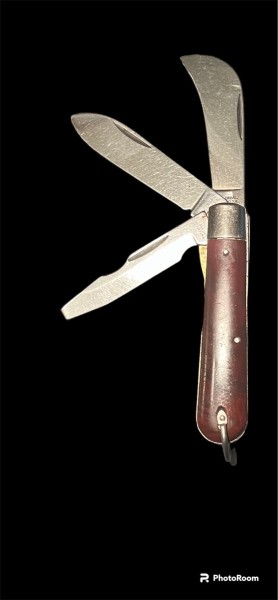 MCTE4246.JPG