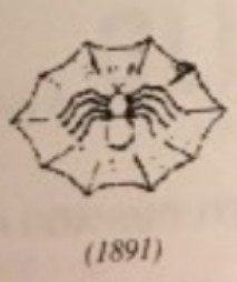 Spider in Web Trademark.jpg