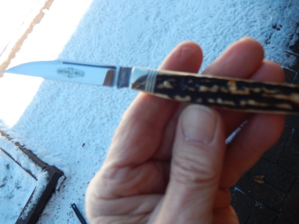 DSCN1125.JPG