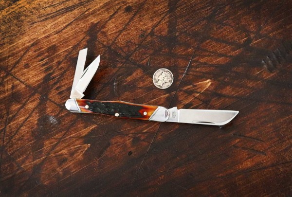 2016-tuna-carpenter-amber-01lo.jpg