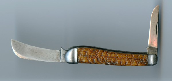 DE  pick  bone170.jpg