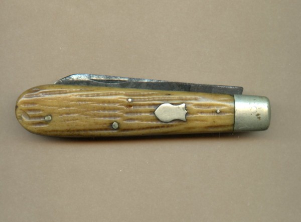 Salisbury bone maybe Holley old  (1).jpg