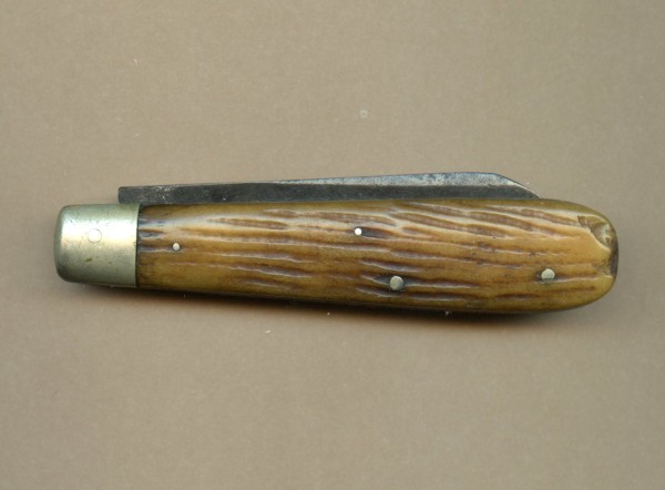 Salisbury bone maybe Holley old  (2).jpg