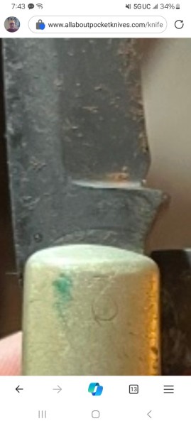 1000022154.jpg