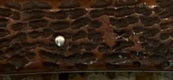 IMG_3577.jpeg