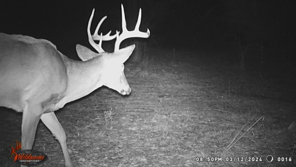 Maybe this one will be around next year