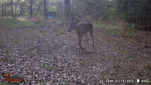 Keep on growing, Lil' Buddy.