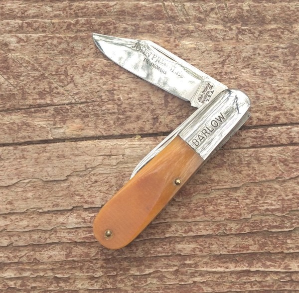 KIMG5257~2.JPG