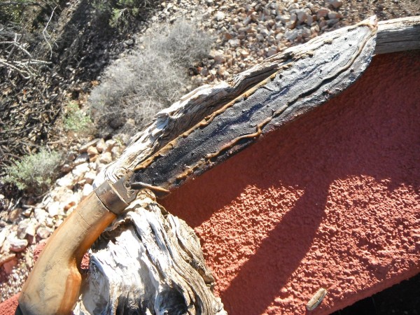 DSCF6270.JPG