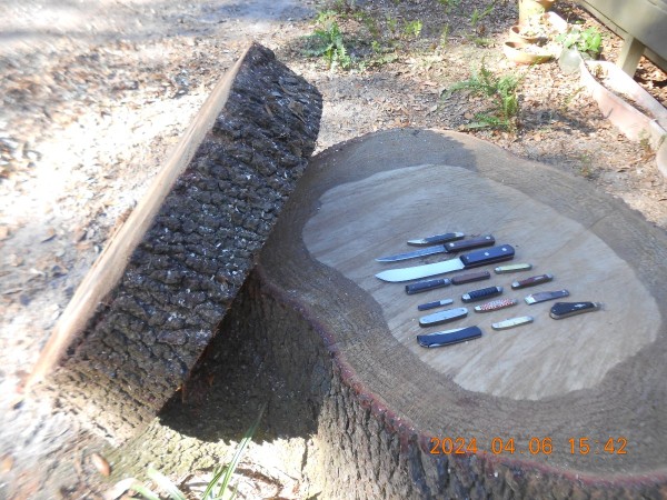 Had to leave 'em out on the "new" oak stump in the front yard to air out a bit.