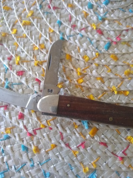 Mike Bach Possible Case Pocket Knife 3 of 3.jpg