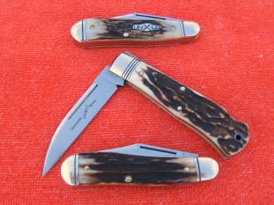 Great Eastern Stags.JPG