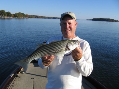Greenwood Striper.JPG