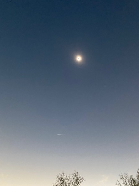 IMG_3853.jpeg