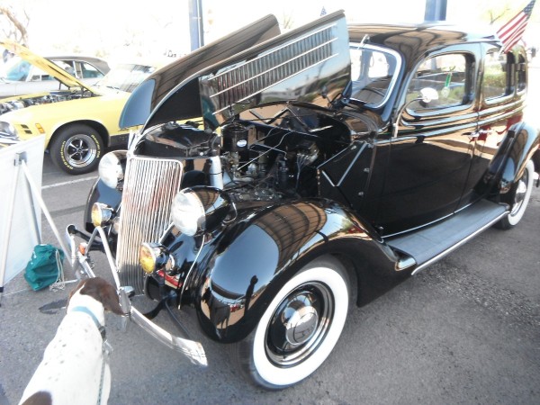 DSCF7038.JPG