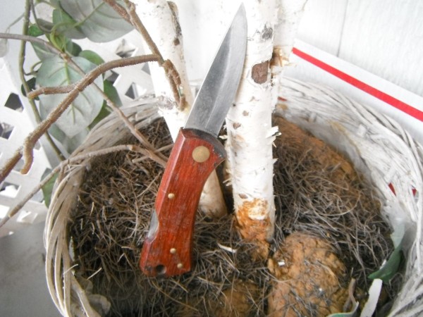 DSCF6860.JPG