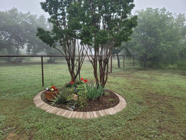 One of wife's flower beds