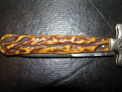 Stag0028.jpg