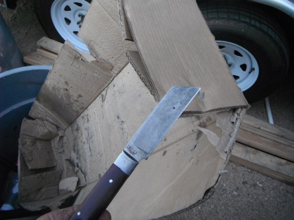 DSCF7454.JPG