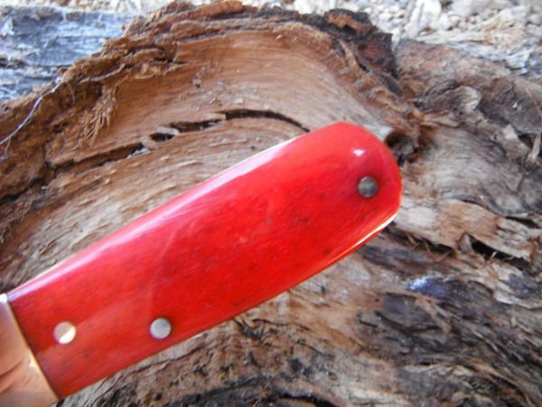 DSCF7533.JPG