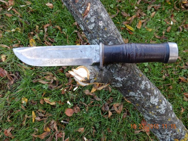 tree limb 3.JPG
